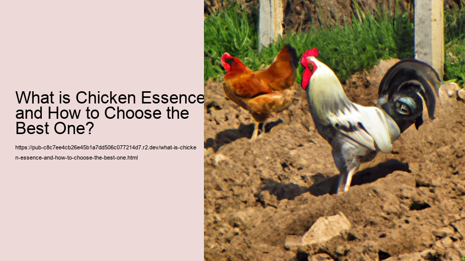 What is Chicken Essence and How to Choose the Best One?